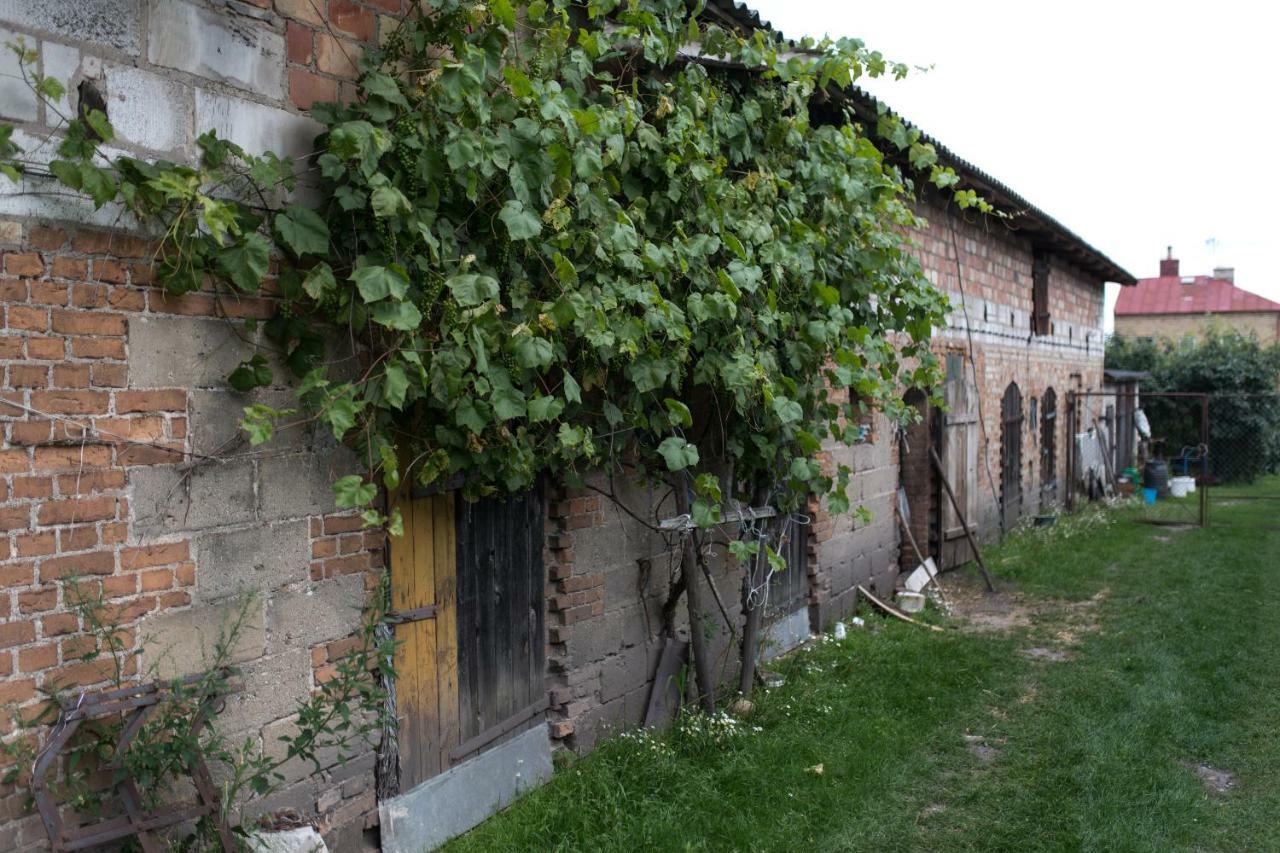 Agroturystyka Karpinscy Wizna Exteriér fotografie